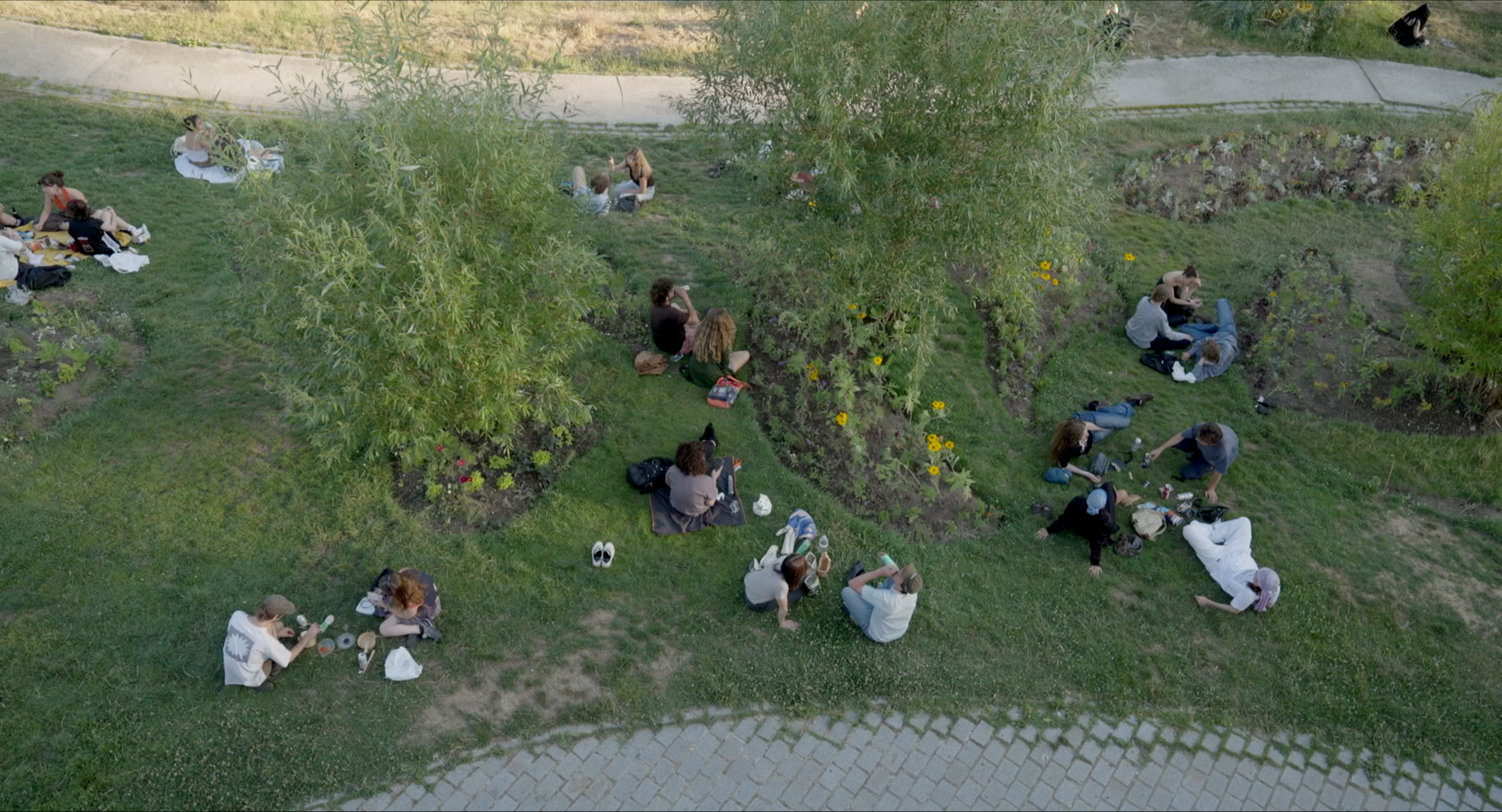 Depuis le 13 image 7