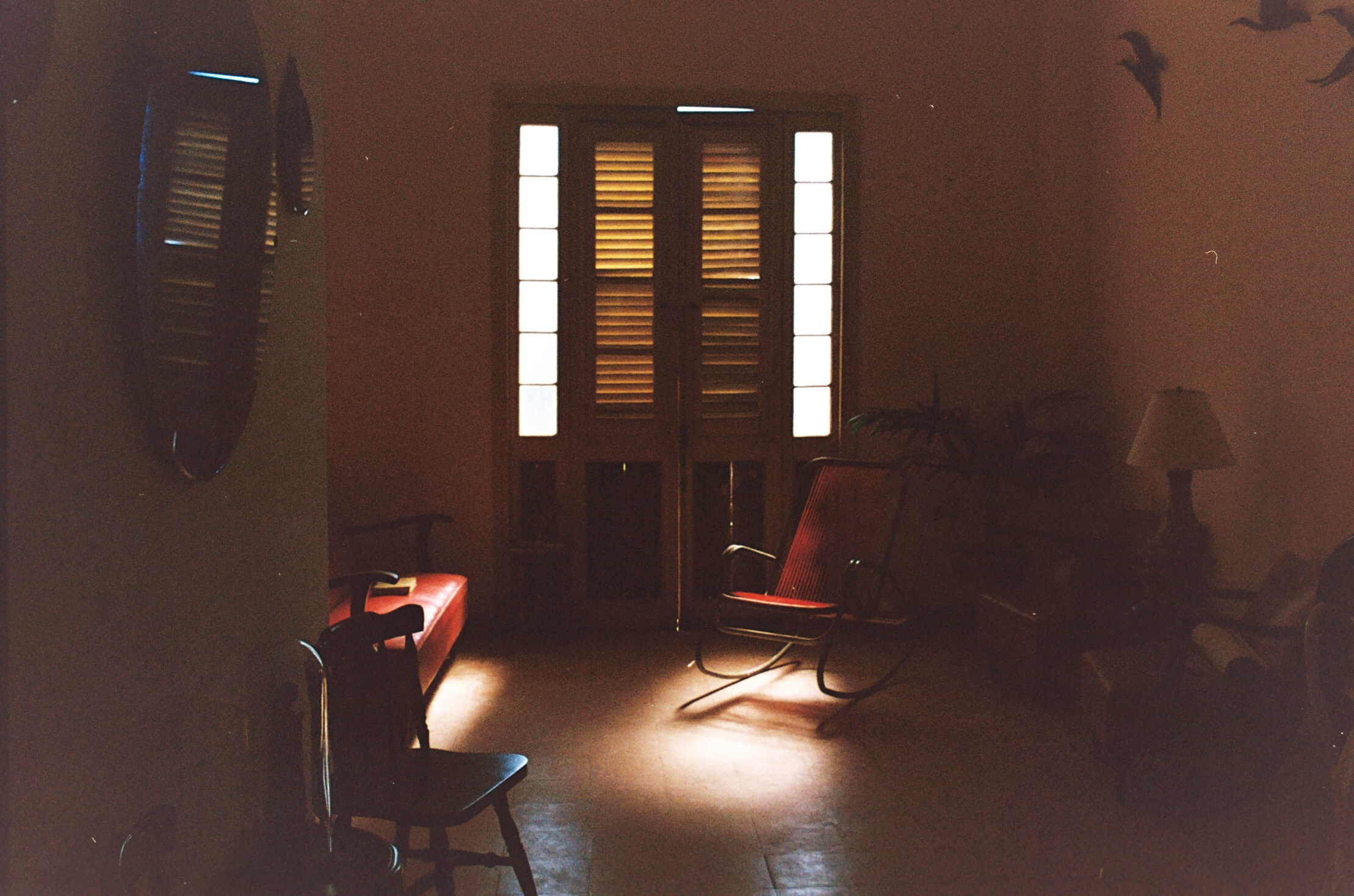 Photography 9